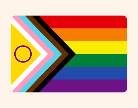 LGBTQIA+ flag